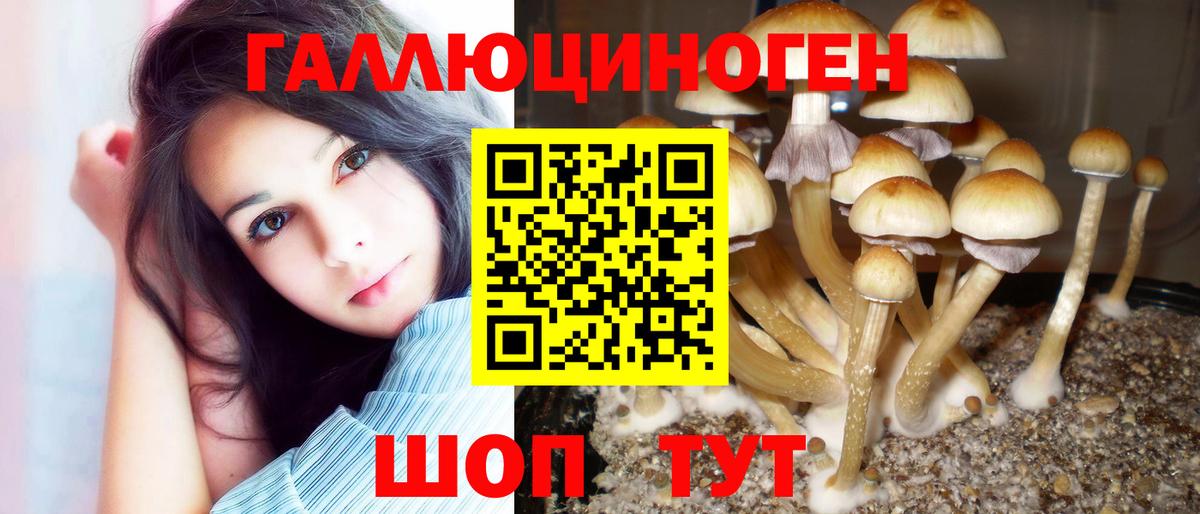 Псилоцибиновые грибы GOLDEN TEACHER Канаш