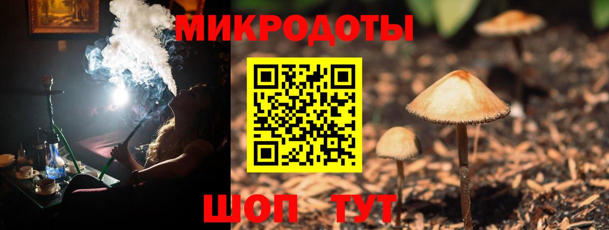 Псилоцибиновые грибы Psilocybe  Вход с VPN  Канаш  Галлюциногенные грибы Cubensis 